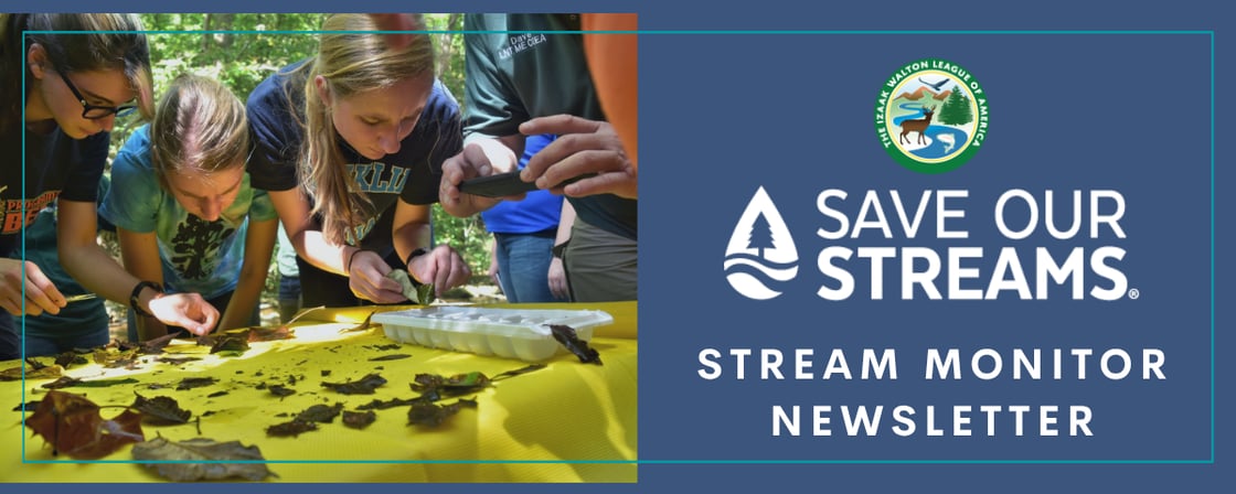 Stream monitor newsletter